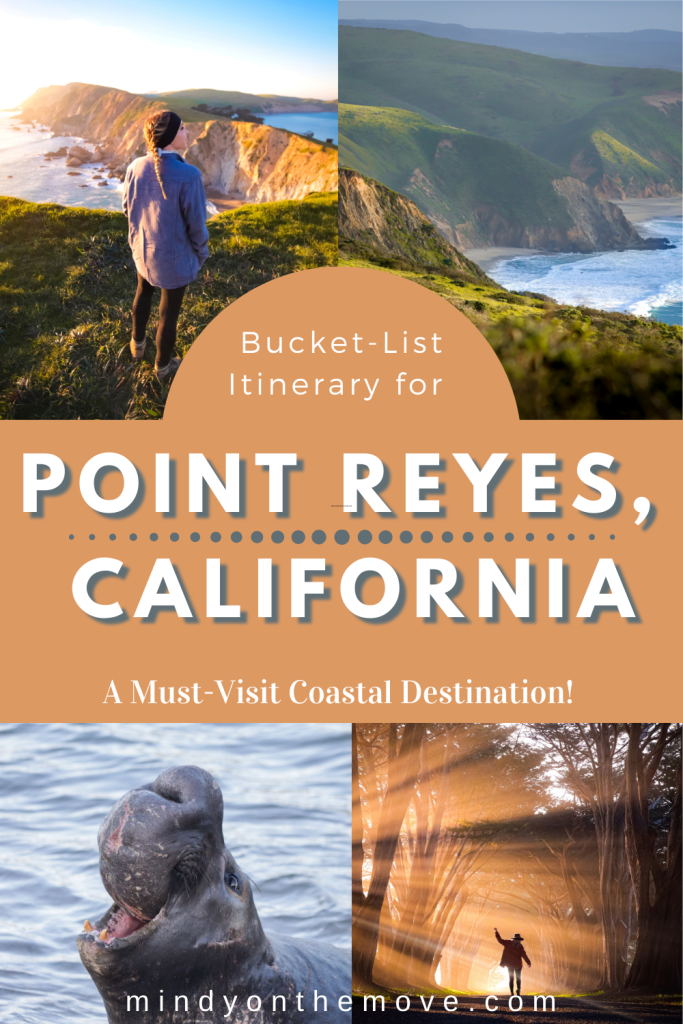 Point Reyes Bucket-List Itinerary